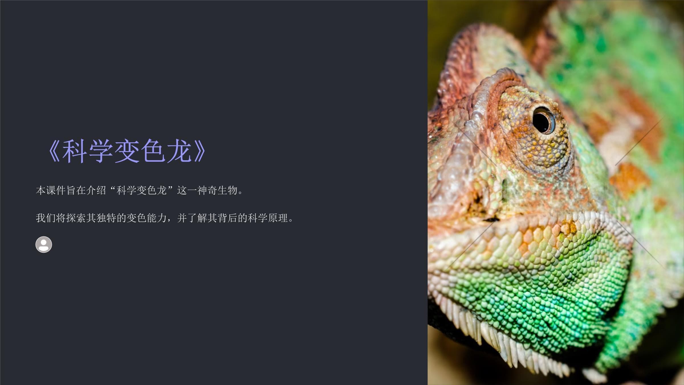 神奇的变色龙：从自然到科技的奇妙之旅