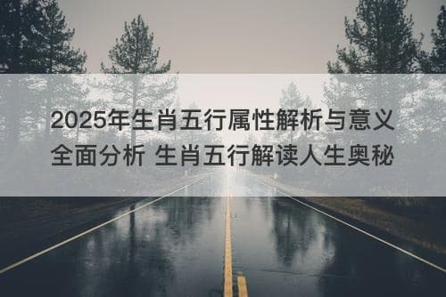 2025年生肖五行属性解析与意义全面分析 生肖五行解读人生奥秘