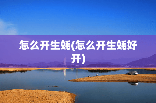 怎么开生蚝：多种实用方法详解