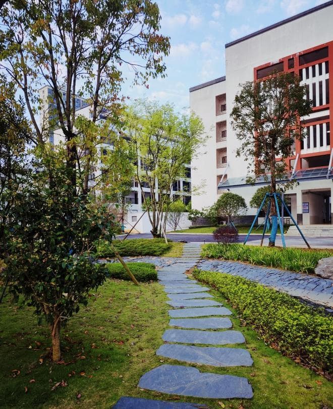 时间管理的艺术：高中生如何平衡学习与兴趣爱好的探索