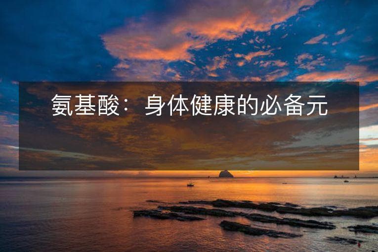 氨基酸：身体健康的必备元素
