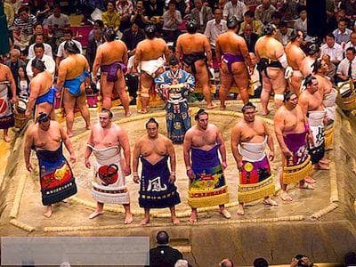 日本12位最着名的相扑选手