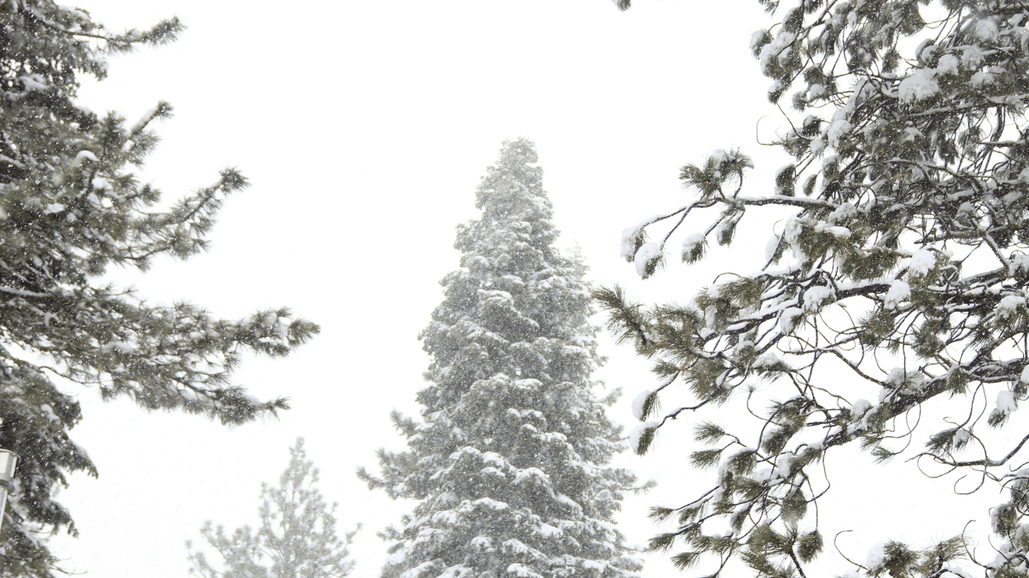 山西暴雪预警！深圳游客请注意这些事项