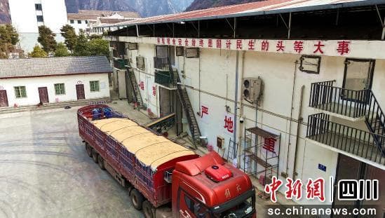 汶川：全力做好储备粮轮换 筑牢粮食安全“压舱石”