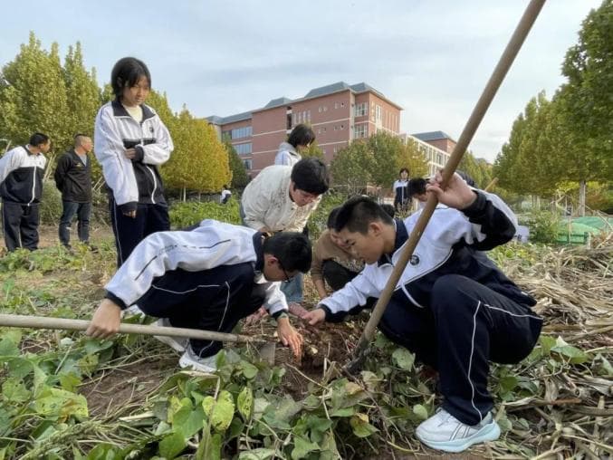 你的样子｜ 有趣！王老师的生物课开在“田间地头”