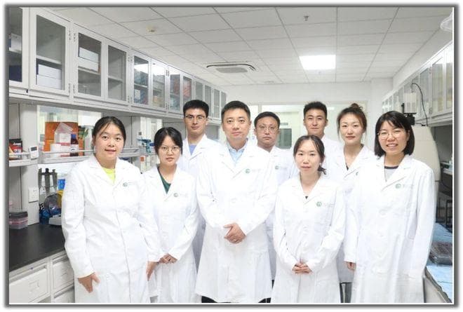 协和医学院团队发现数百种新型蝙蝠病毒，为公共卫生安全提供重要参考