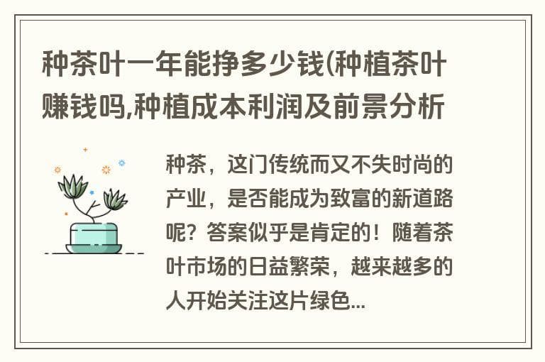 种茶叶一年能挣多少钱(种植茶叶赚钱吗,种植成本利润及前景分析)