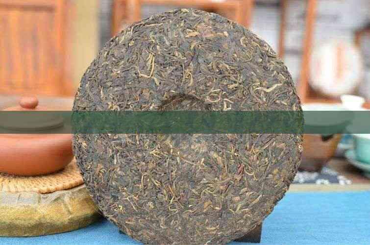 普洱茶知识