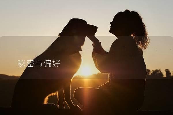 狗狗喜欢什么味道？探索它们的味蕾秘密与偏好