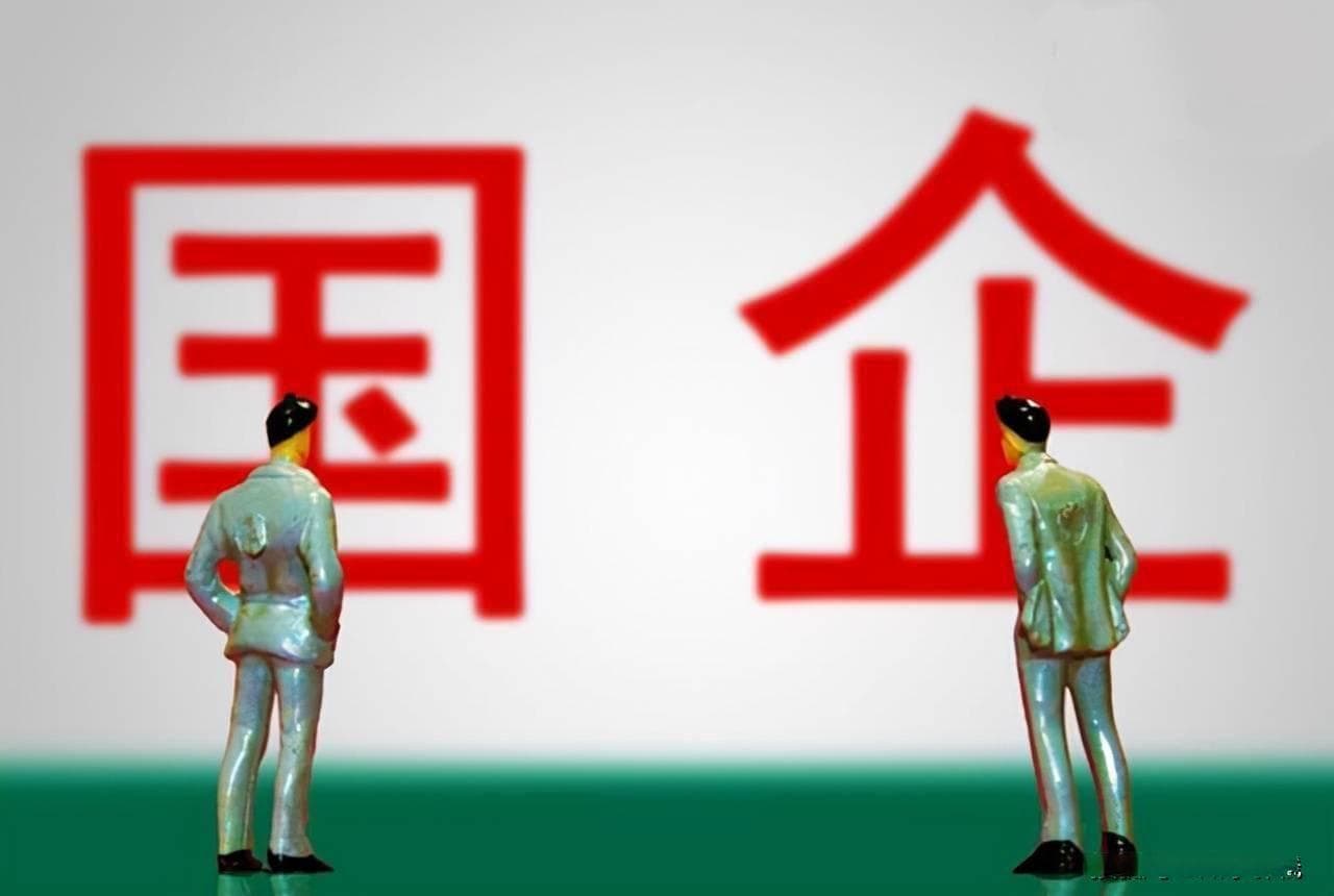 解码国企私企：从所有权到风险管理的六大差异