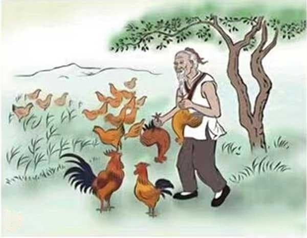 符离集烧鸡：千年古镇的味觉密码