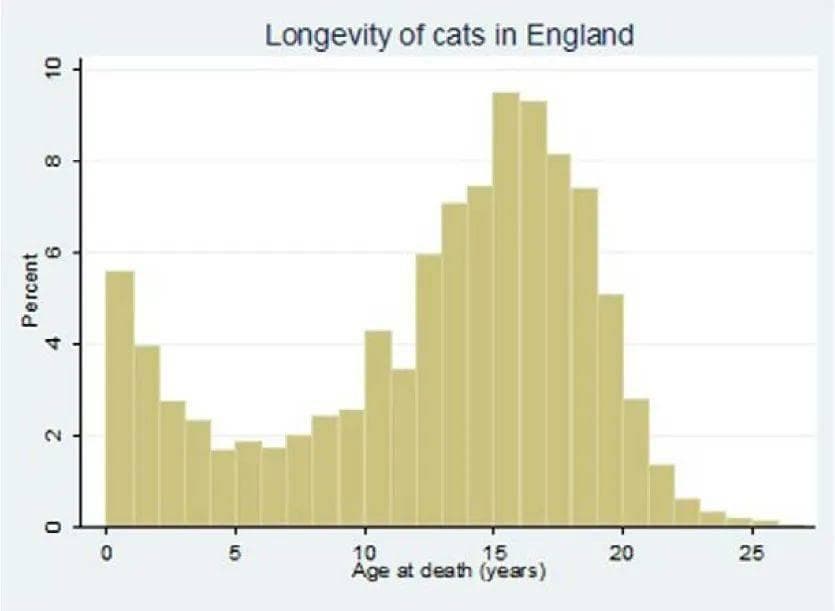 如何让猫活得更久？猫咪死亡原因和寿命统计