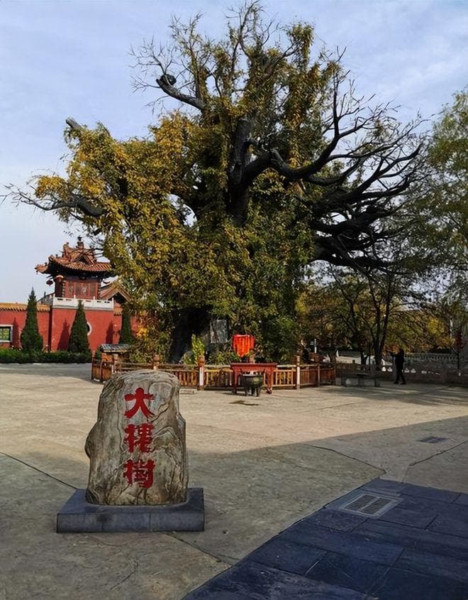 小脚趾拥有两瓣甲的人，究竟是何来历？是纯种汉人吗？