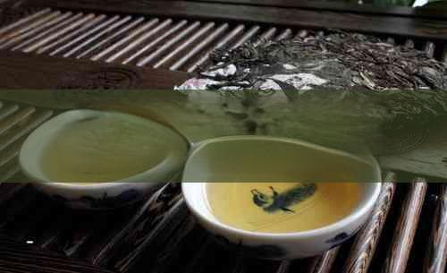 长期饮用绿茶的多重益处与科学依据揭秘