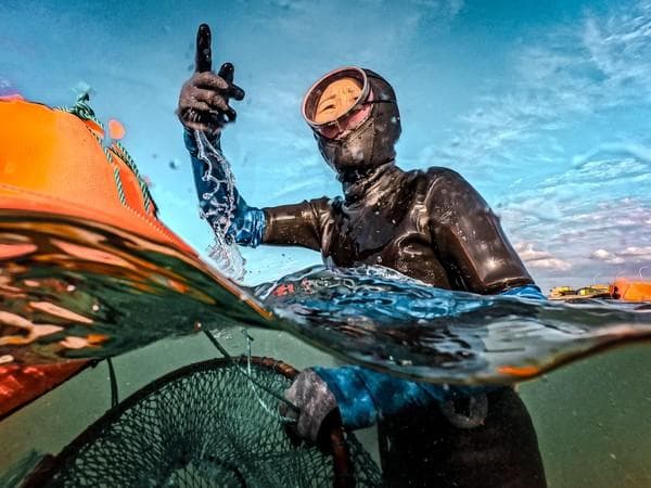 世界的瑰宝，济州的珍宝——海女：探寻济州海女文化