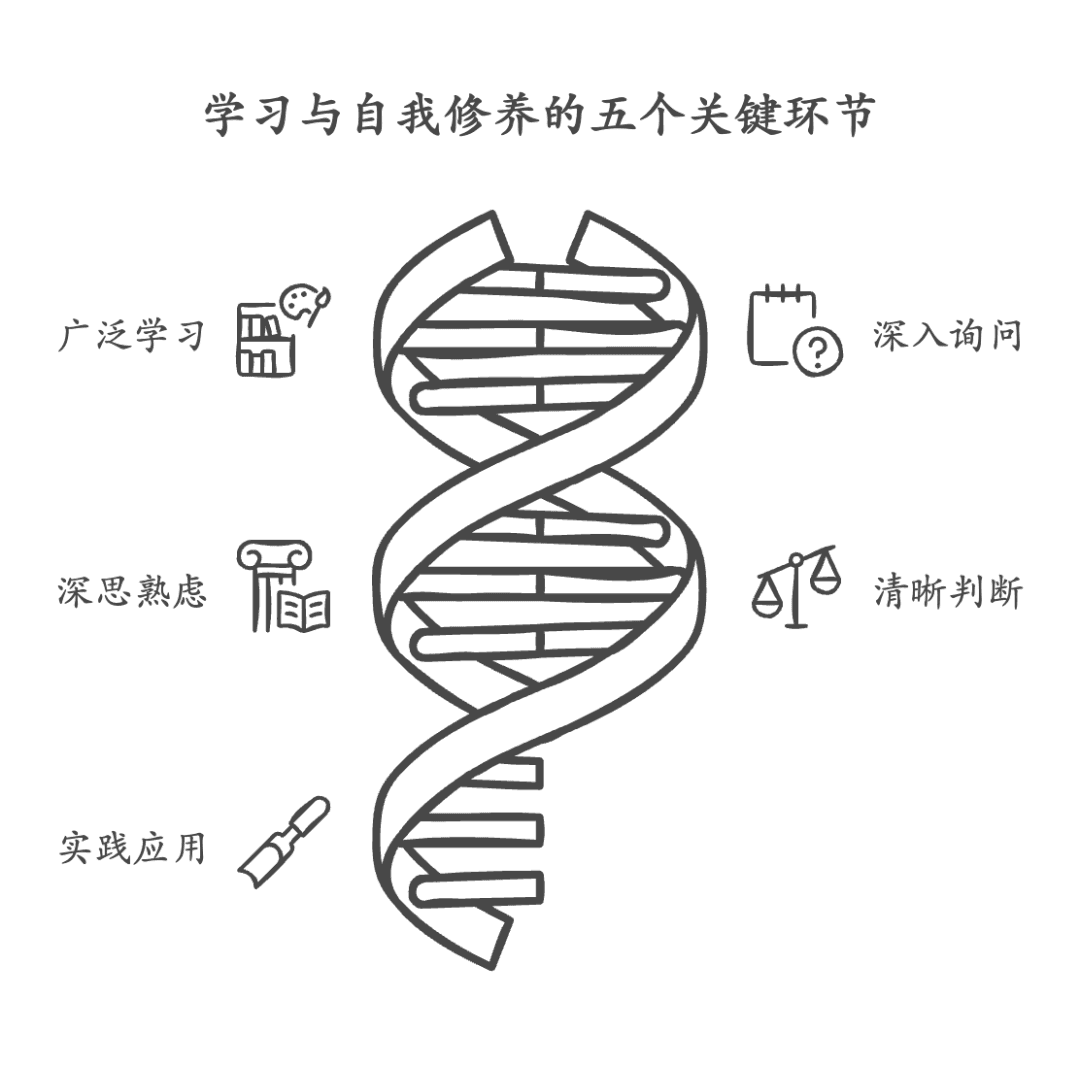 博学之，审问之，慎思之，明辨之，笃行之：学习与实践的五重境界