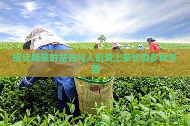 喝茶的五大好处与人们爱茶的深层原因