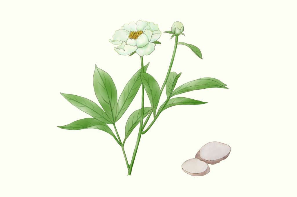 白芍总苷胶囊的功效与作用 白芍总苷胶囊的用法用量