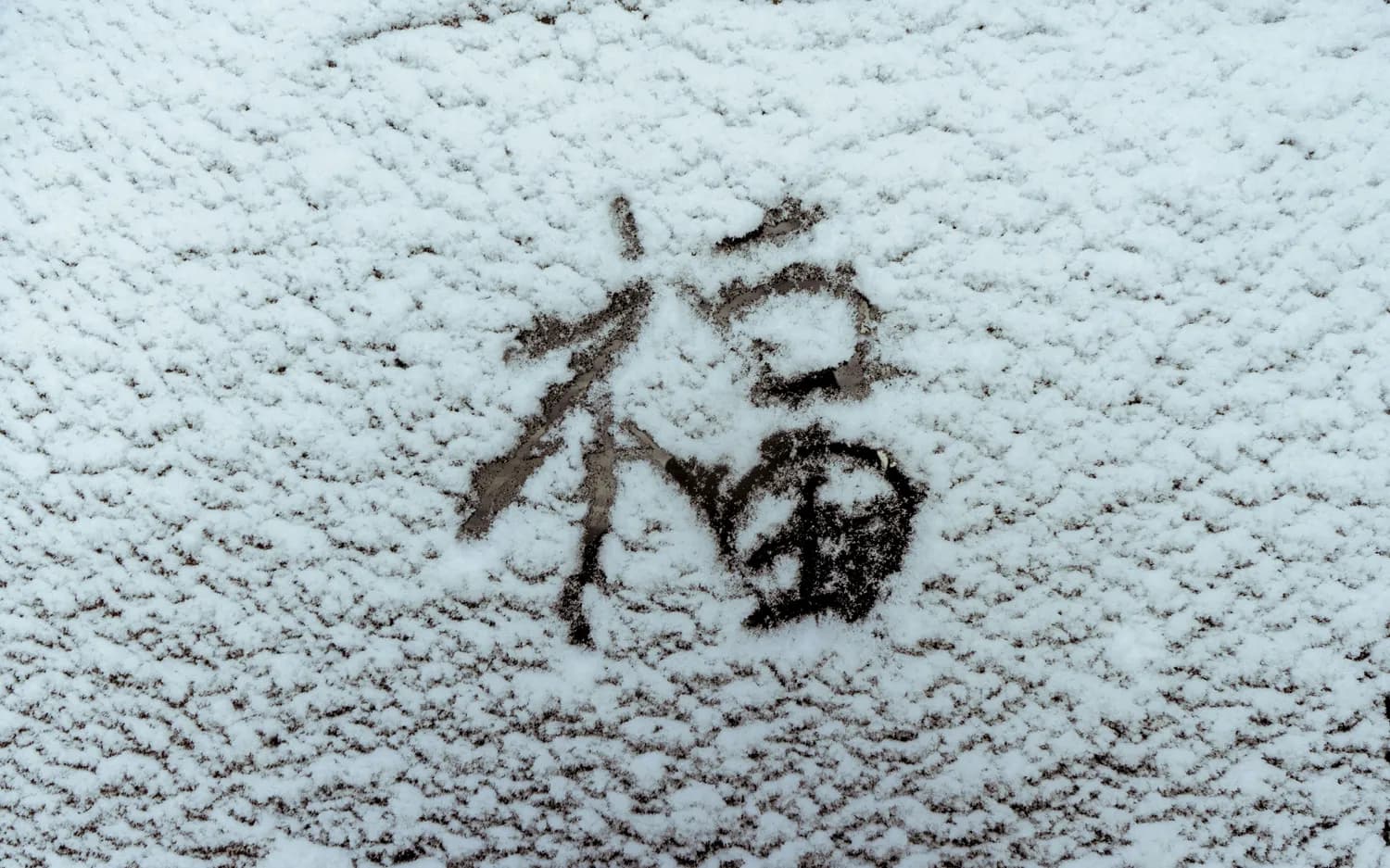 中国气象局在线“求雪”：郑州的雪，终于要来了！