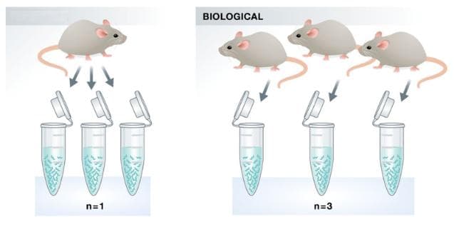 RNA-seq实验设计详解：重复与批次效应处理
