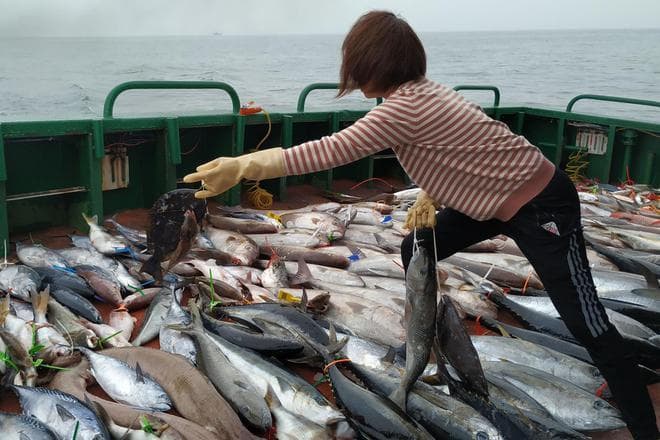 海钓必备：自制虾饵的5个关键技巧