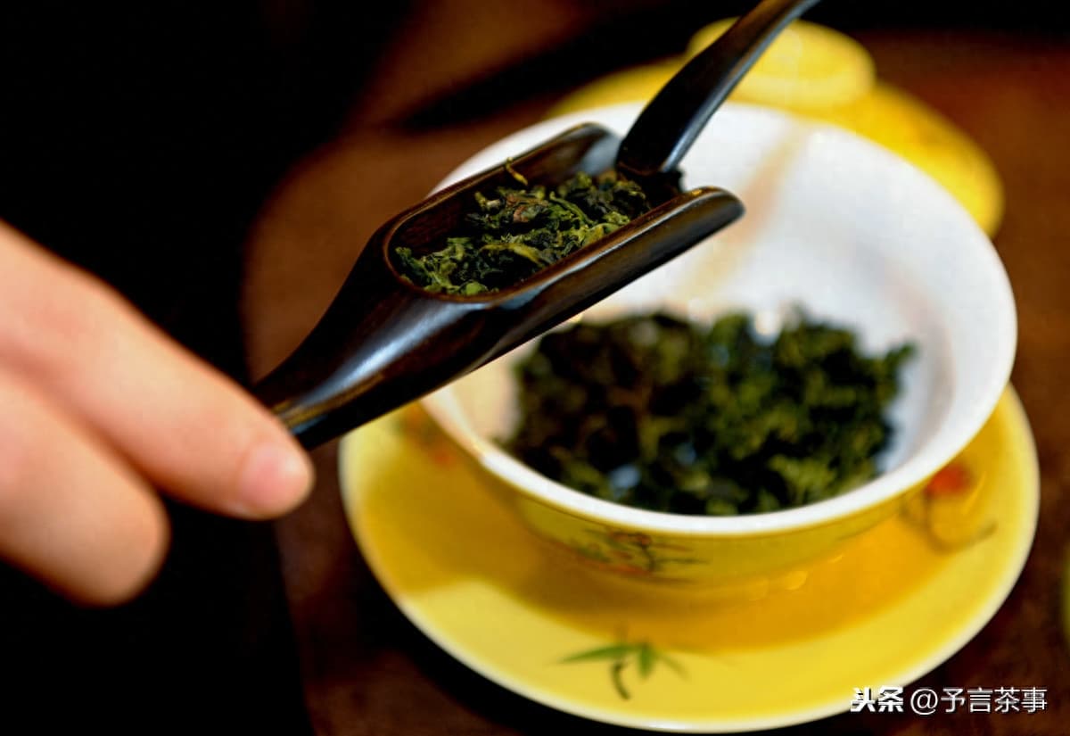 终于理顺了繁杂的福建茶：福建茶的品种、茶类，看这一篇就够了