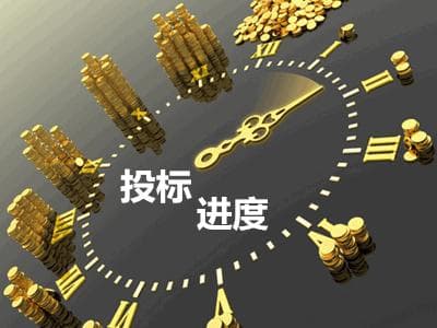 如何提高投标询价的效率和准确性？这种询价方式有哪些影响因素？