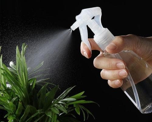 洗米水浇花的好处及方法（为什么洗米水能成为优质的植物营养品？）