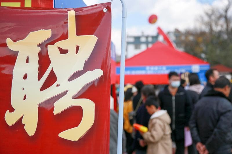 2024年就业观察：毕业生规模创新高，制造业吸引力提升