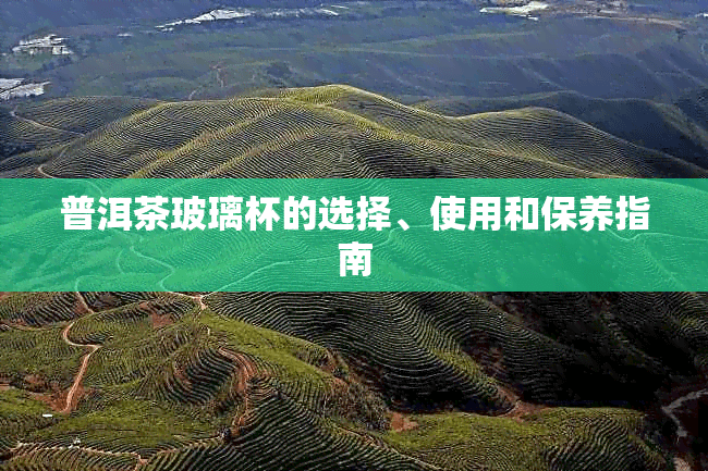 普洱茶玻璃杯的选择、使用和保养指南