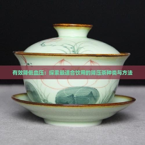有效降低血压：探索最适合饮用的降压茶种类与方法