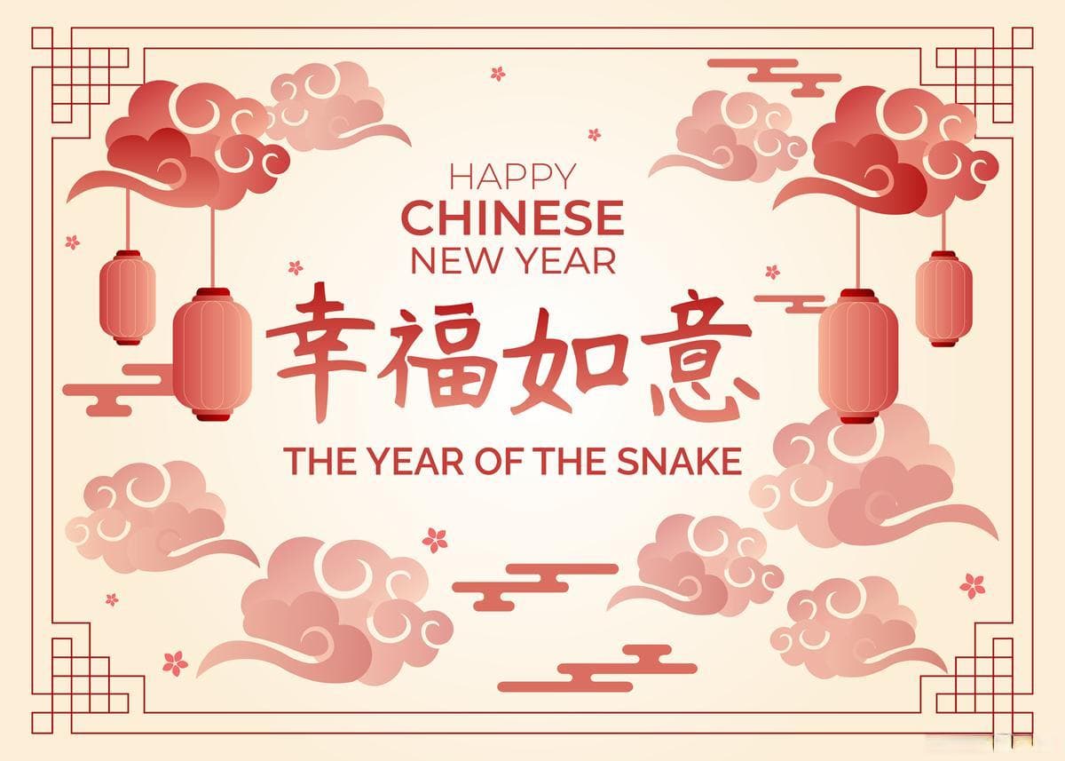2025 年春节：传统与现代交融的新景象