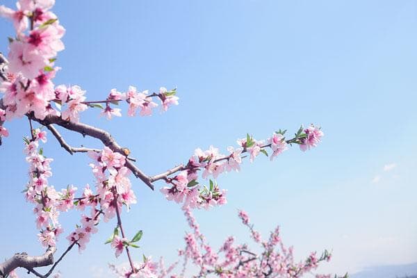 春分是什么季节的节气
