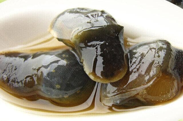 泥螺是什么东西 哪种泥螺最好吃最健康