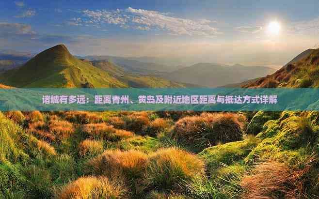 诸城有多远：距离青州、黄岛及附近地区距离与抵达方式详解
