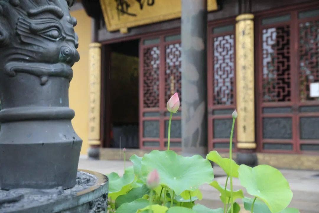 佛学问答｜佛教中的“六和敬”是什么意思？