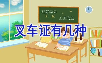 叉车证有几种？一文详解N1证及其他相关证书