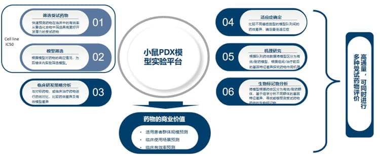 肿瘤研究应用系列丨环特小鼠PDX模型，助力药物研发与深度科研