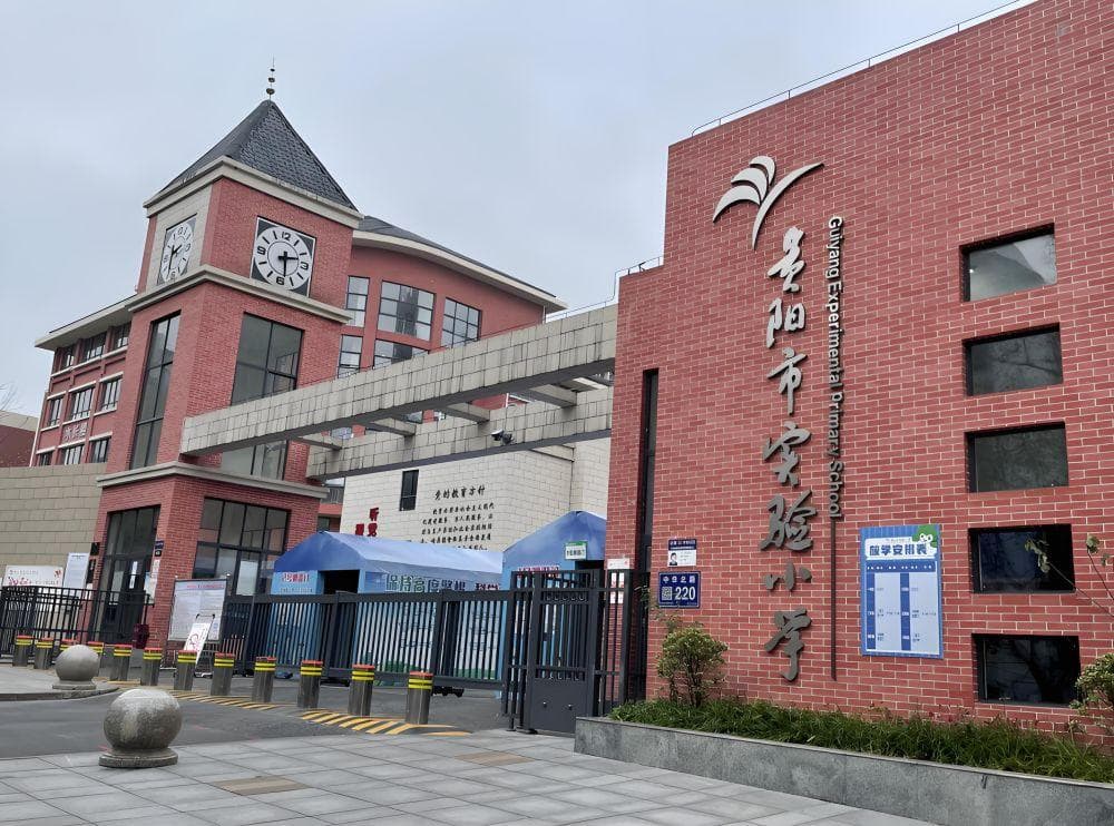 8岁女孩校园霸凌惨剧：教育局说解决了？家属愤怒揭露骇人细节