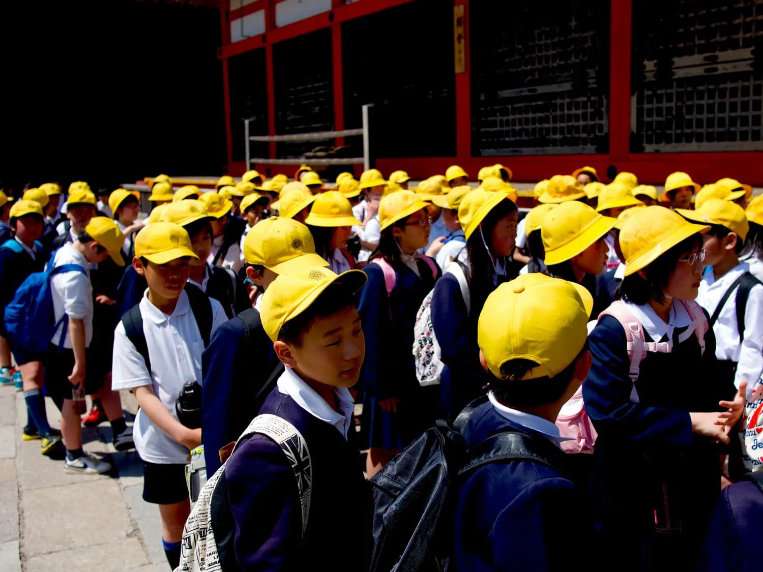 唐山西山路小学：百年学府的传承与创新