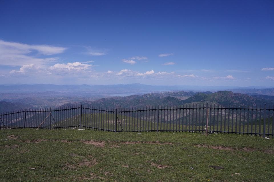 初夏的灵山：北京最高峰上的高山花卉盛宴