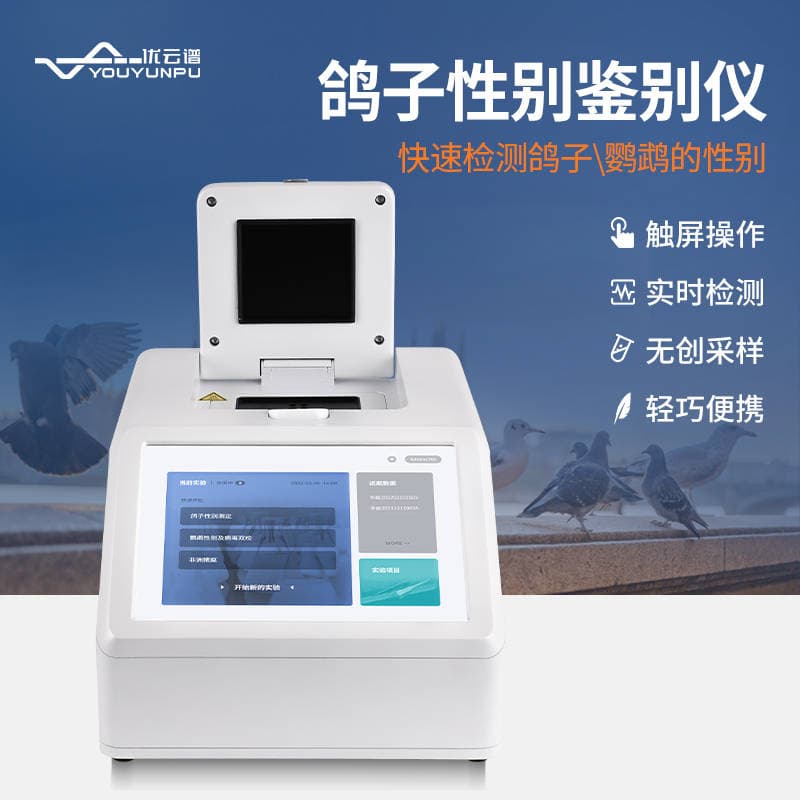 科学养鸽：鸽子性别检测仪为鸽友排忧解难