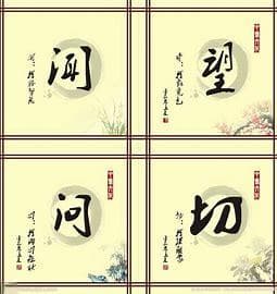 中医如何向帕金森 “宣战”？深度解读治疗方式与流程