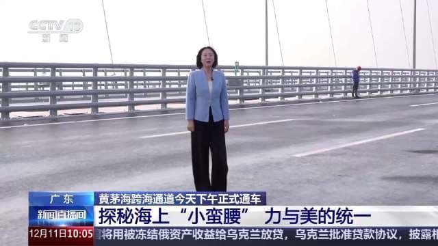 力与美的统一！探秘海上“小蛮腰”