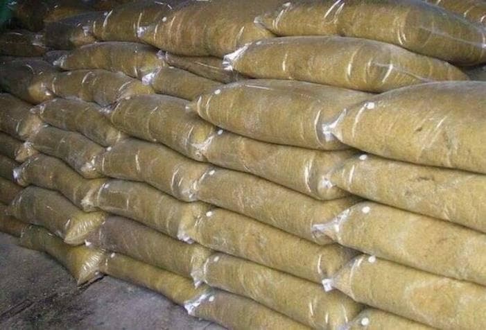 发酵豆粕在养猪业中的应用：降低料耗，提升猪体免疫力