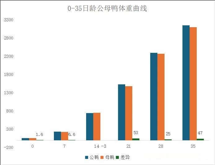 樱桃谷肉鸭公母鉴别方法