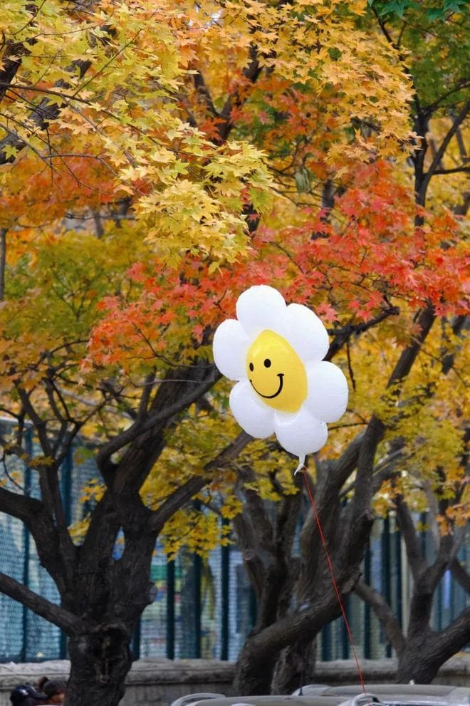 天冷了，青岛这些室内之旅你打卡了几个？