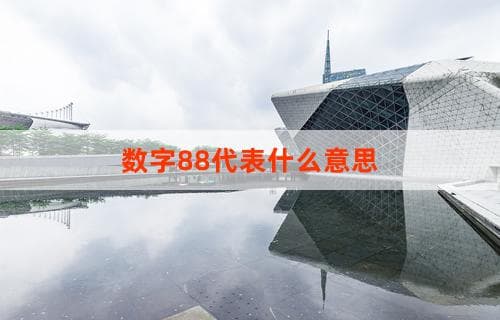 数字88代表什么意思？深度解析其寓意