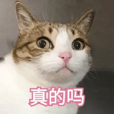 官方确认！广州地铁26号线将设市广路站、沙湾镇站换乘点