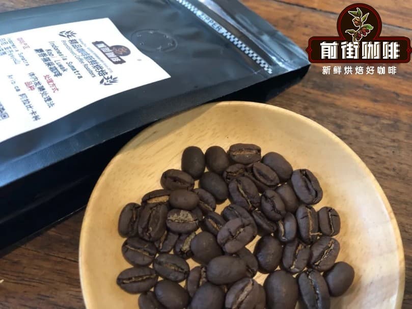 猫屎咖啡的功效与作用 猫屎咖啡豆与普通咖啡豆特点有什么不同为什么这么贵